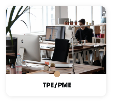 tpe/pme